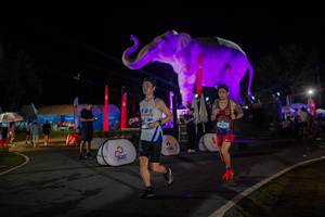 BIB: 
                            <button type="button" onclick="openModal(26552153)" class="btn btn-primary btn-sm float-right btn-popup" data-toggle="modal" data-target=".modal-high-quality">
                        <i class="fas fa-shopping-cart"></i> Add to Cart
                    </button>
                                            <button type="button" onclick="isThisMe(26552153, true)" class="btn btn-success btn-sm float-right btn-popup btn-isme hidden" data-toggle="tooltip" data-placement="bottom" title="นี่คือรูปของคุณใช่ไหม คลิกที่นี่เพื่อเอาเข้าอัลบั้ม">
                        <i class="fas fa-plus"></i> Add to album
                    </button>
                    <button type="button" onclick="isThisMe(26552153, false)" class="btn btn-warning btn-sm float-right btn-popup btn-isnotme hidden">
                        <i class="fas fa-ban"></i> Remove from album
                    </button>